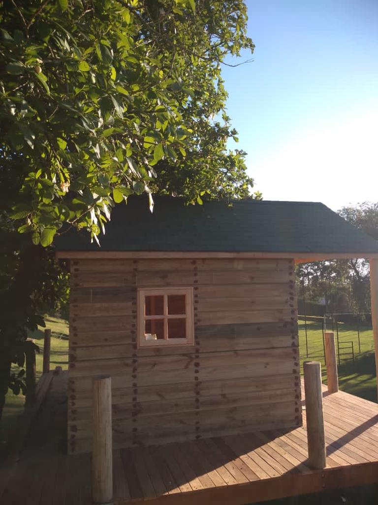 Aduela de Pinus Tratado