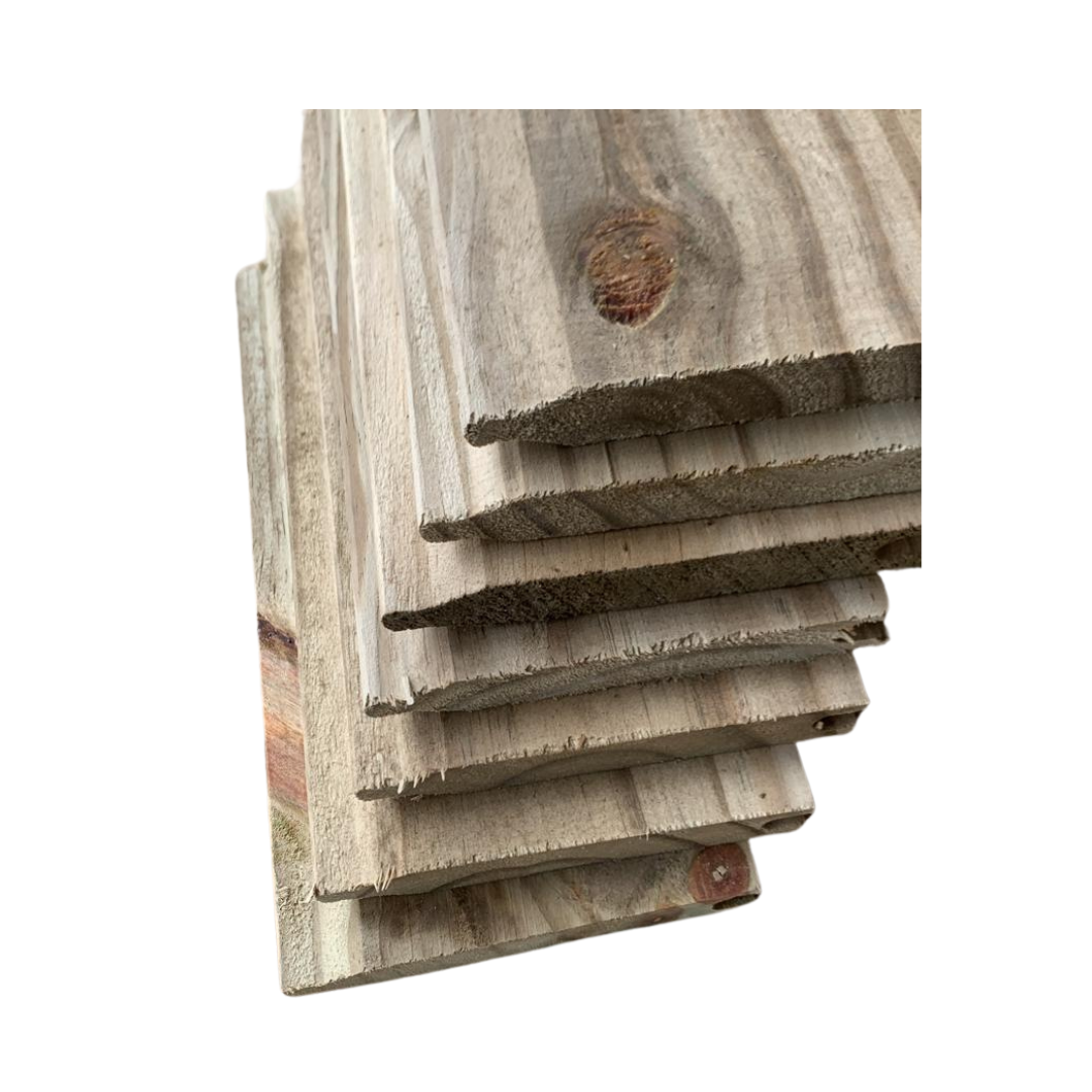 Aduela de Pinus Tratado