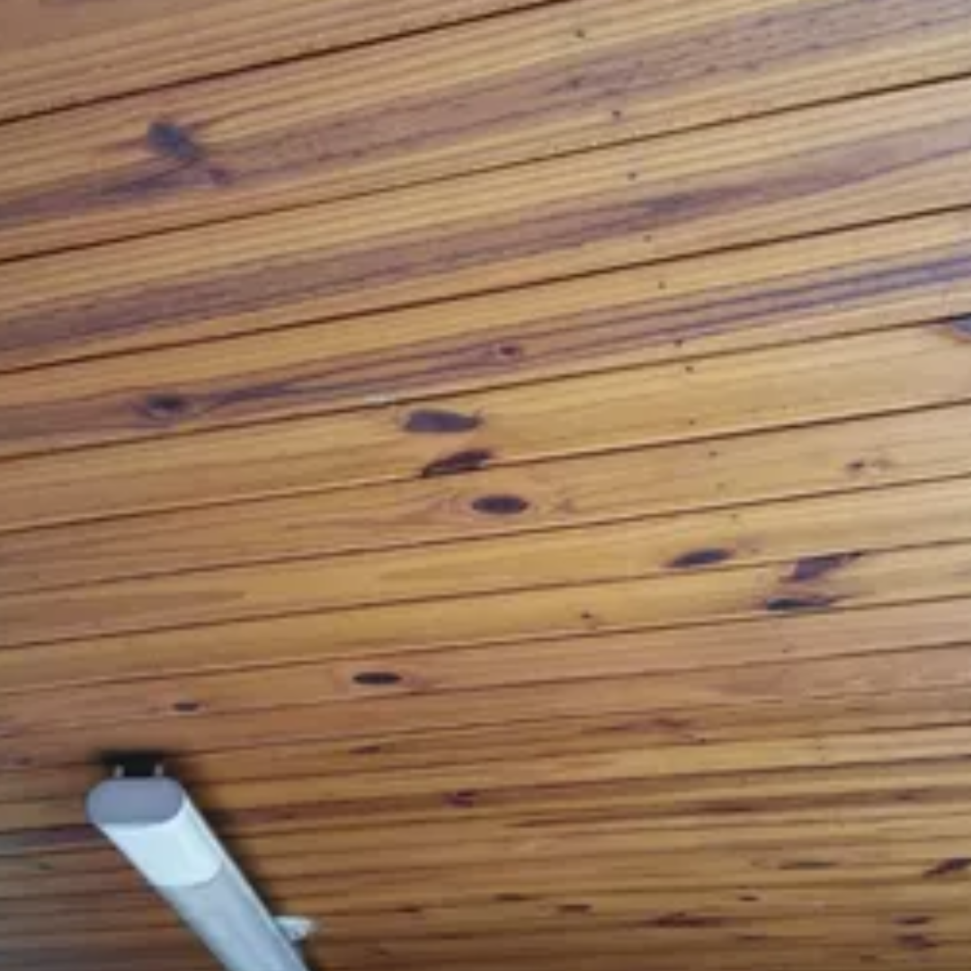 Forro de Pinus Tratado