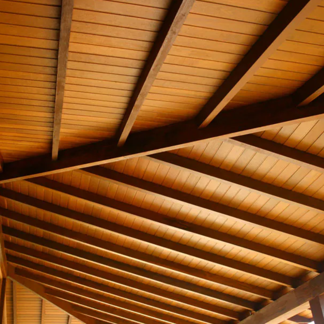 Forro de Pinus Tratado