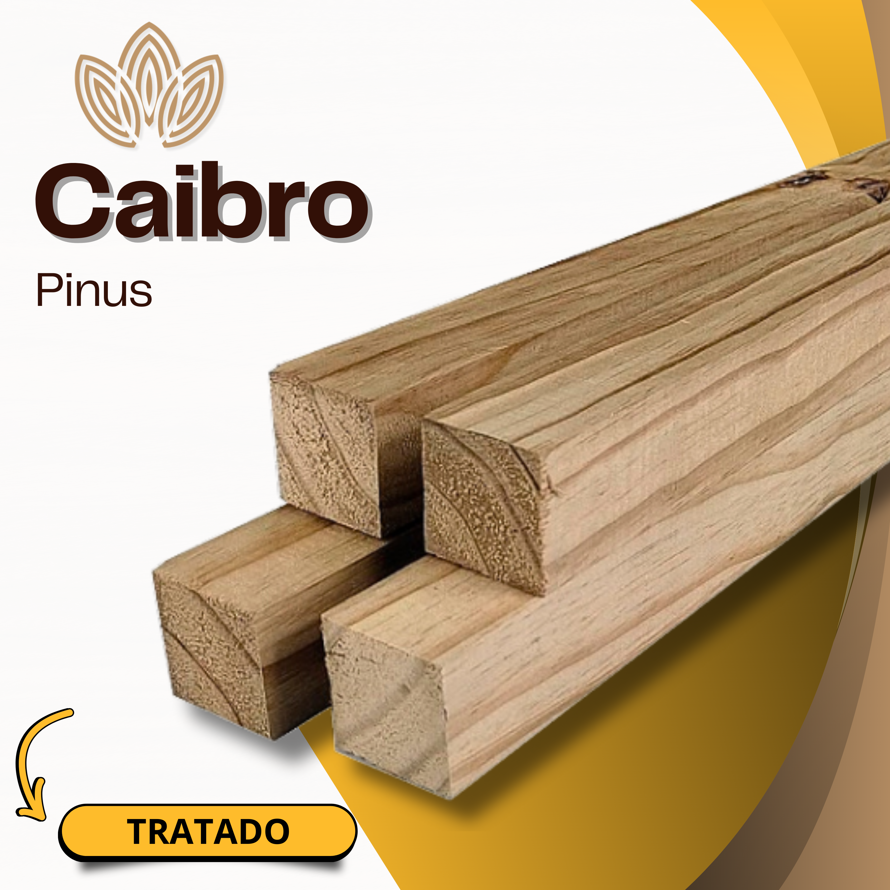 Caibro de Pinus Tratado
