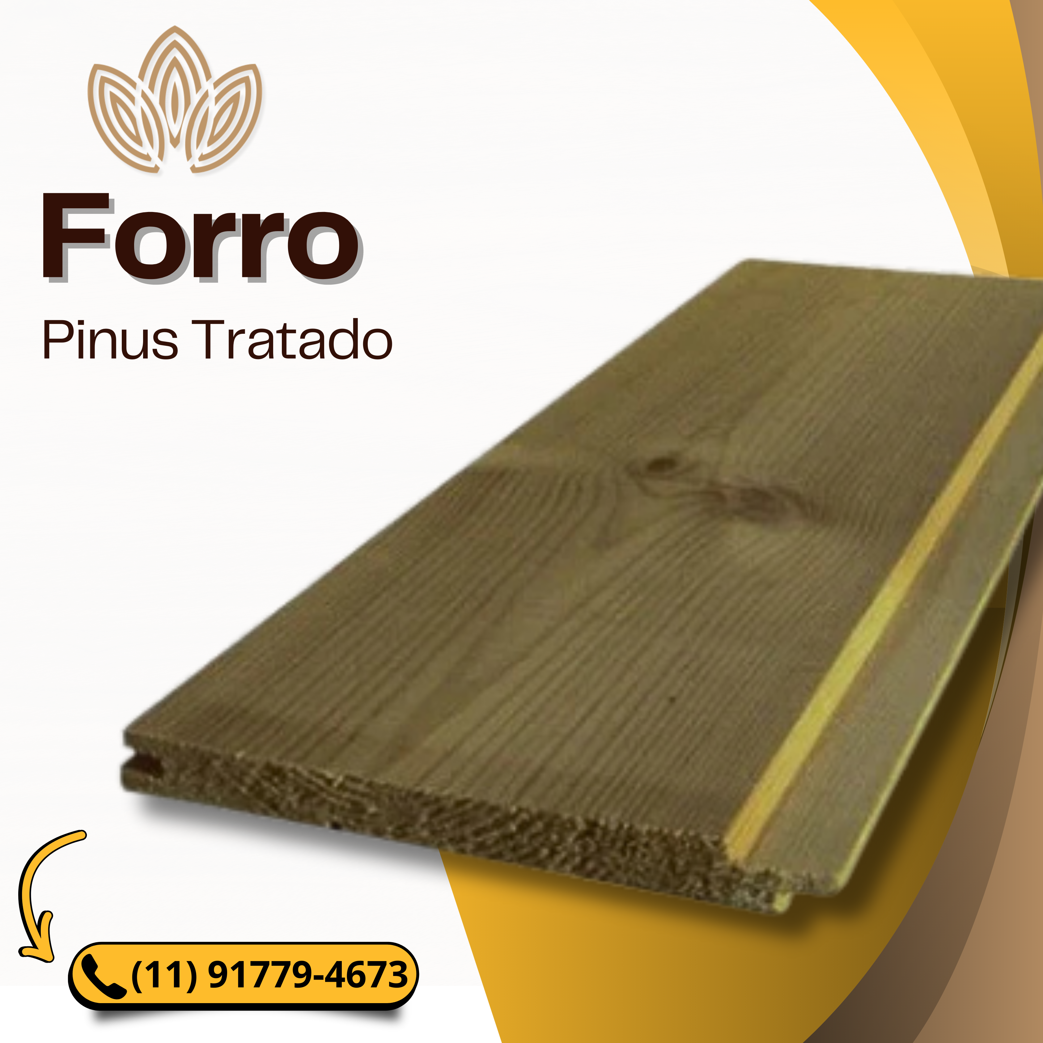 Forro de Pinus Tratado
