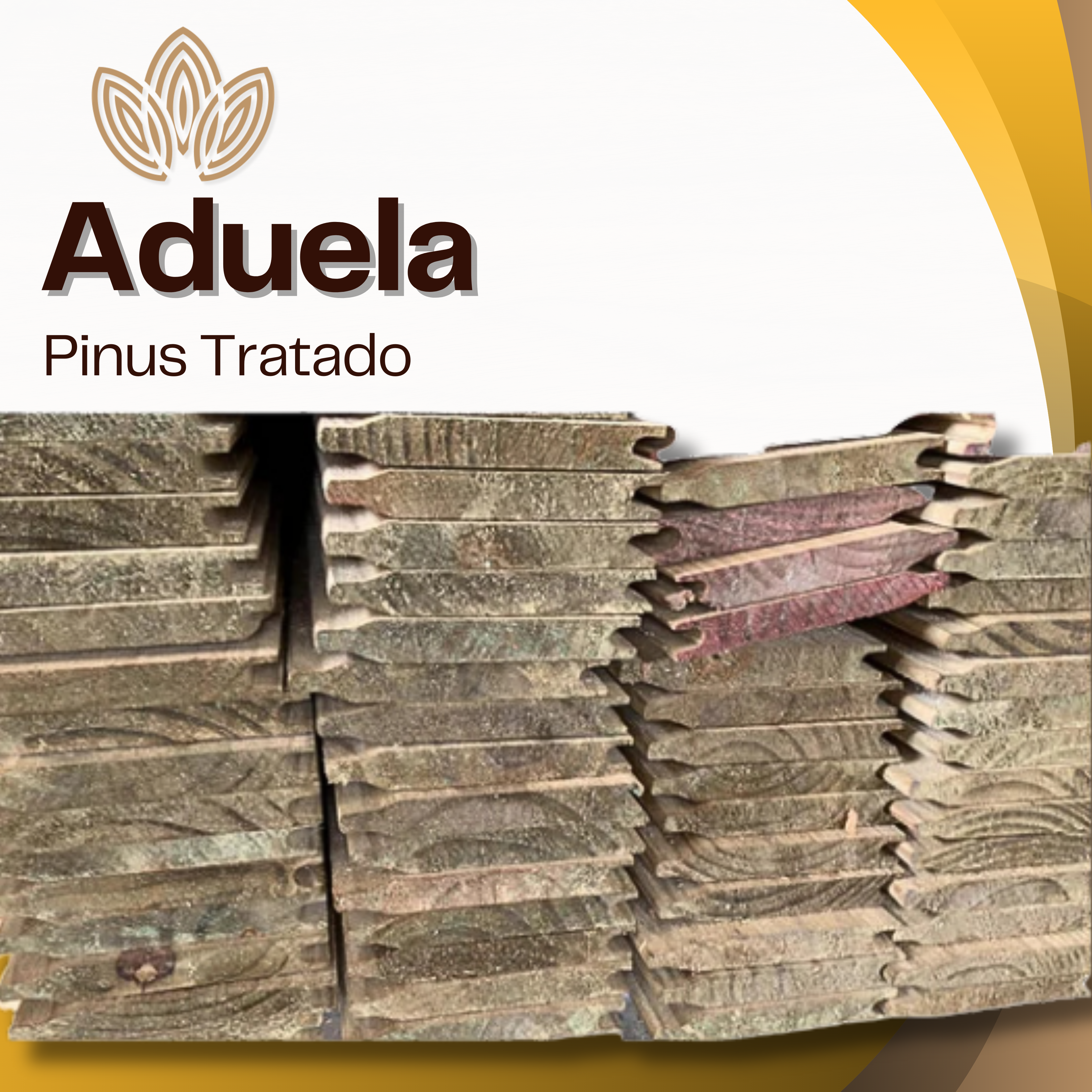 Aduela de Pinus Tratado