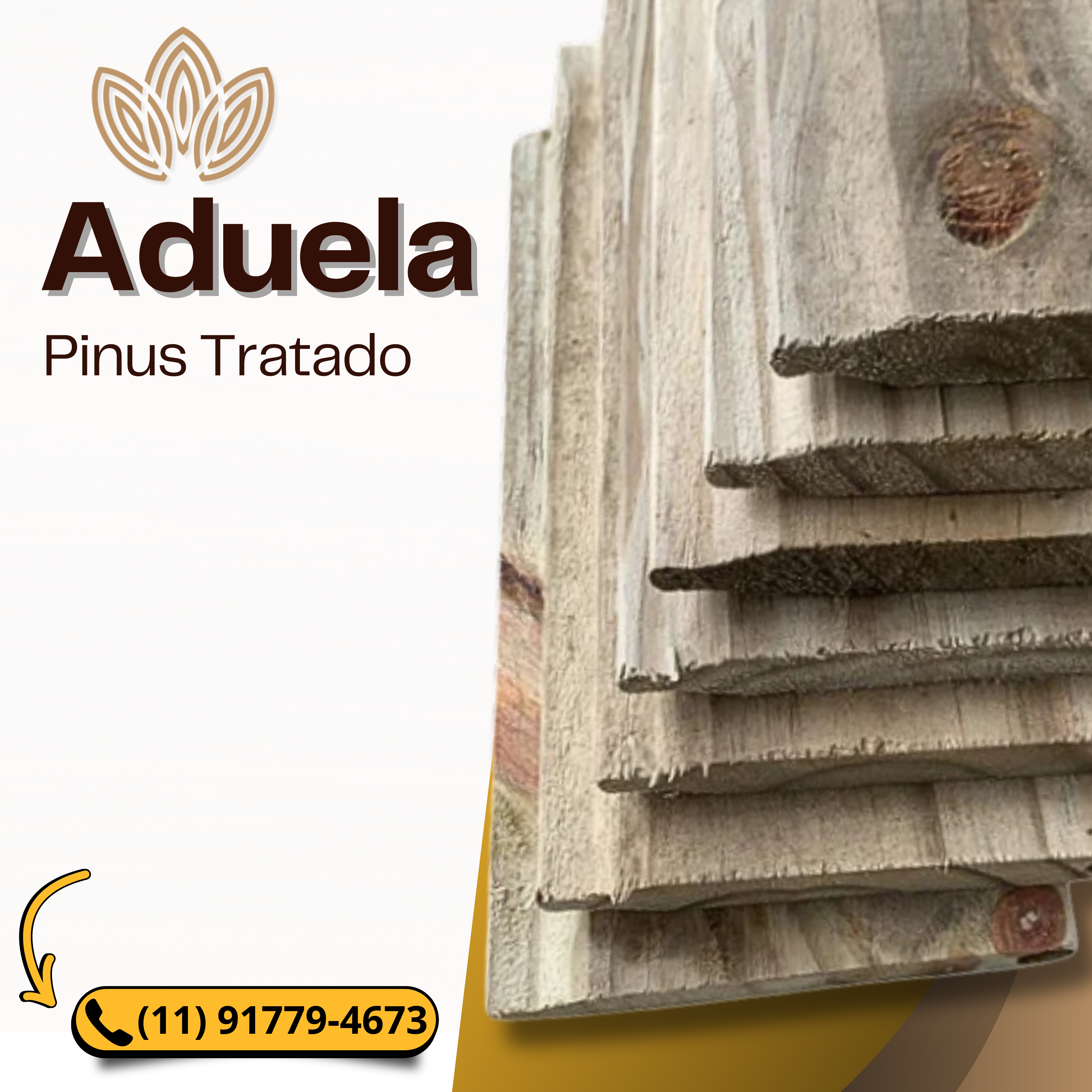 Aduela de Pinus Tratado