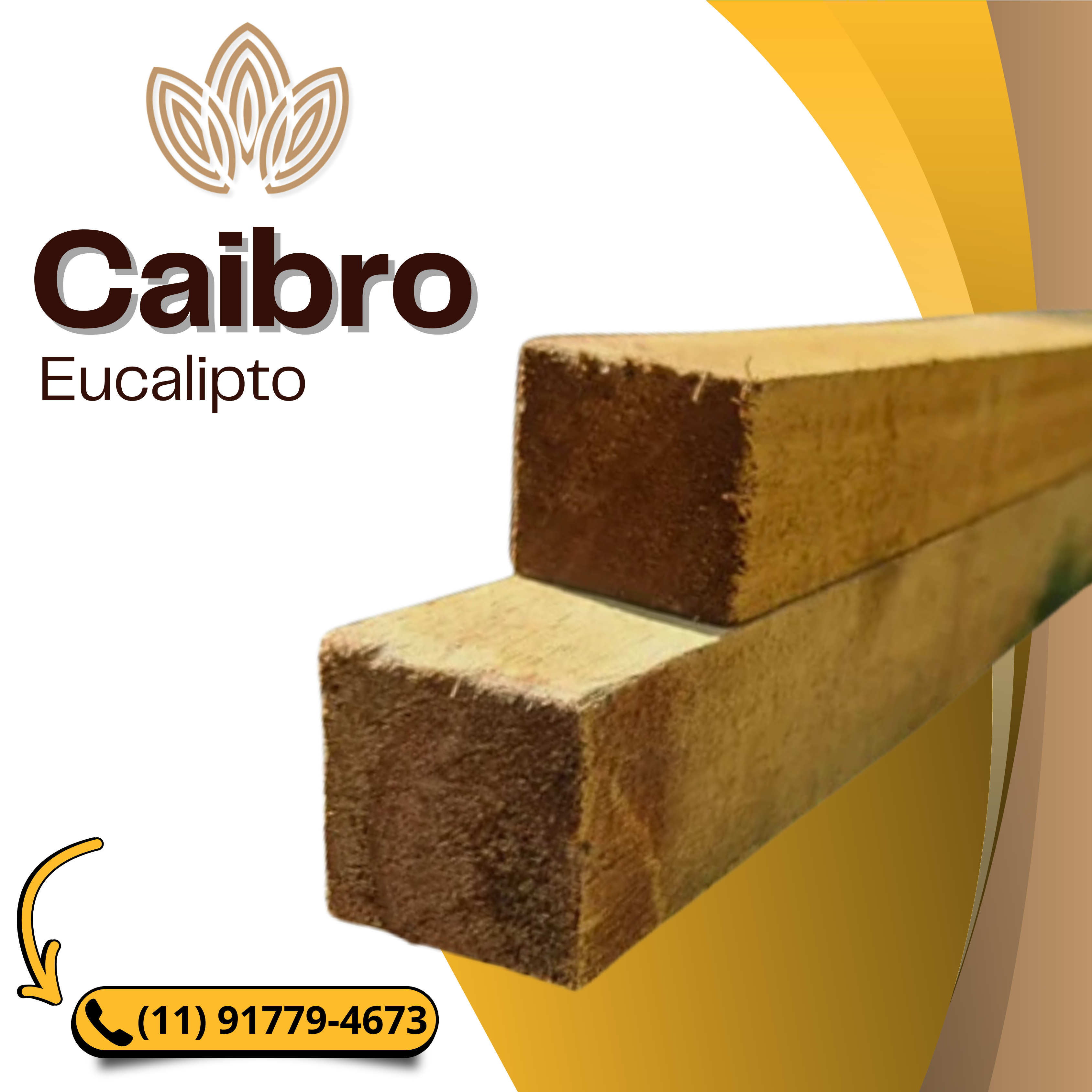 Caibro de Eucalipto Tratado