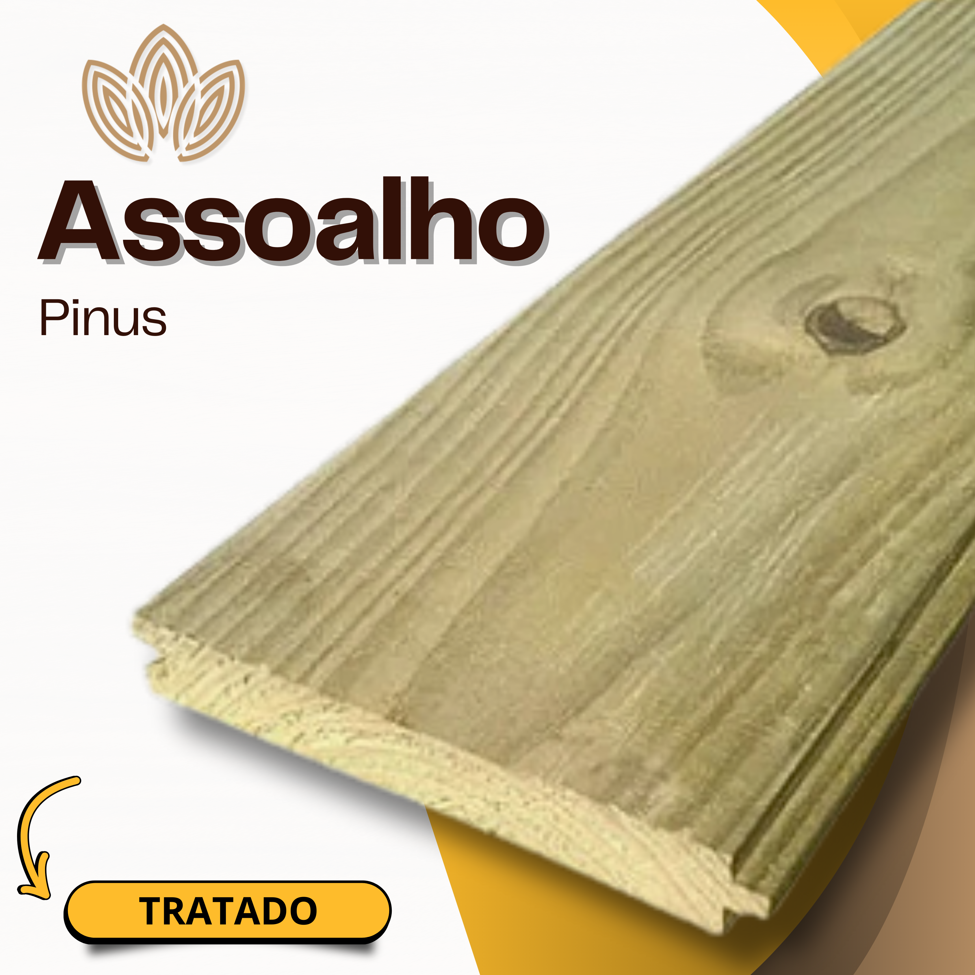 Assoalho de Pinus Tratado