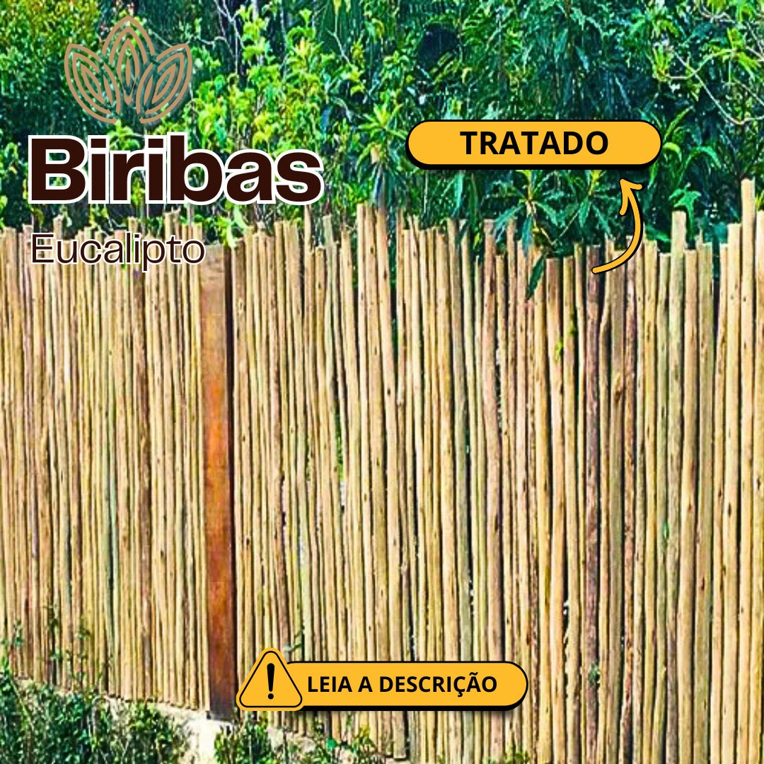 Biriba de Eucalipto Tratado