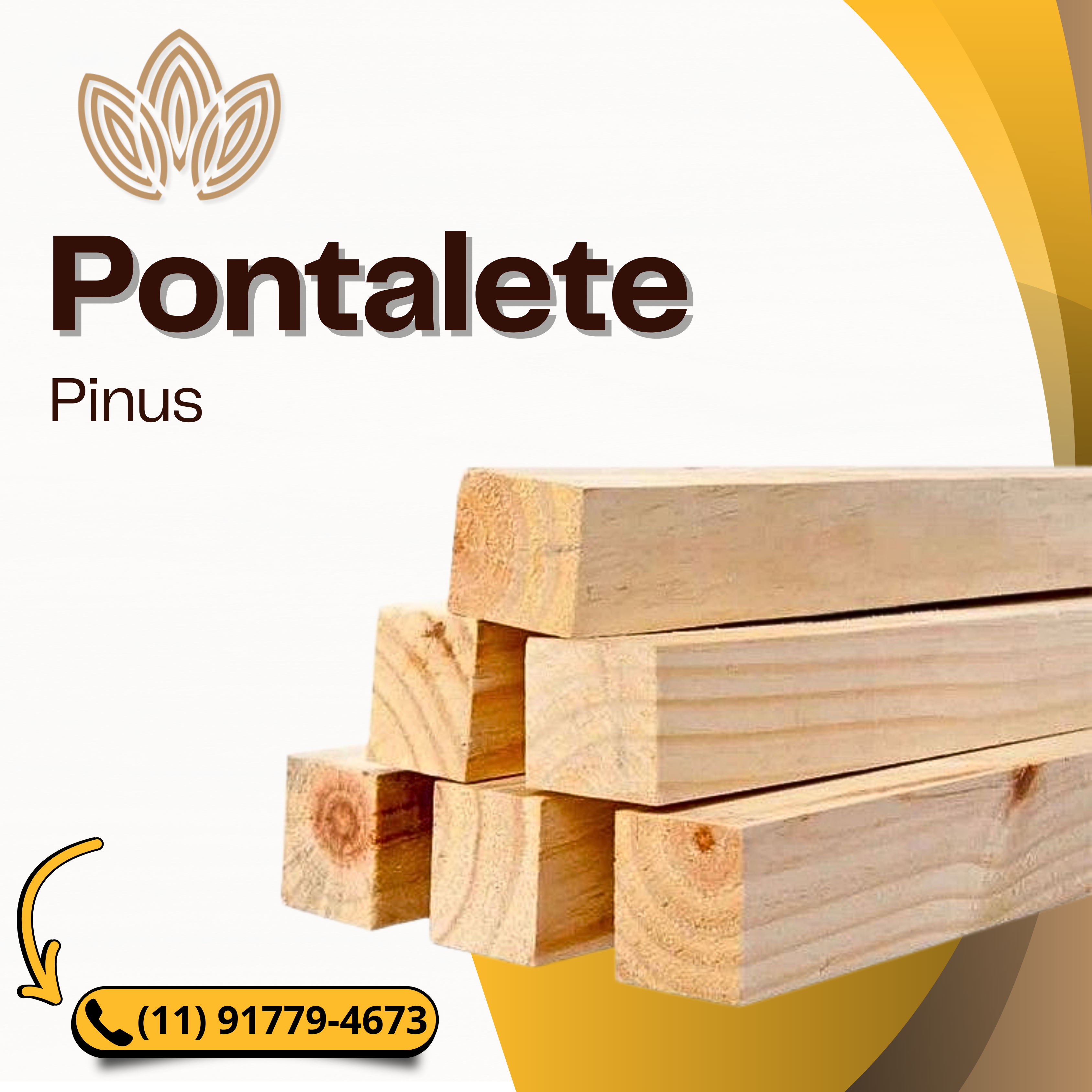 Pontalete de Pinus