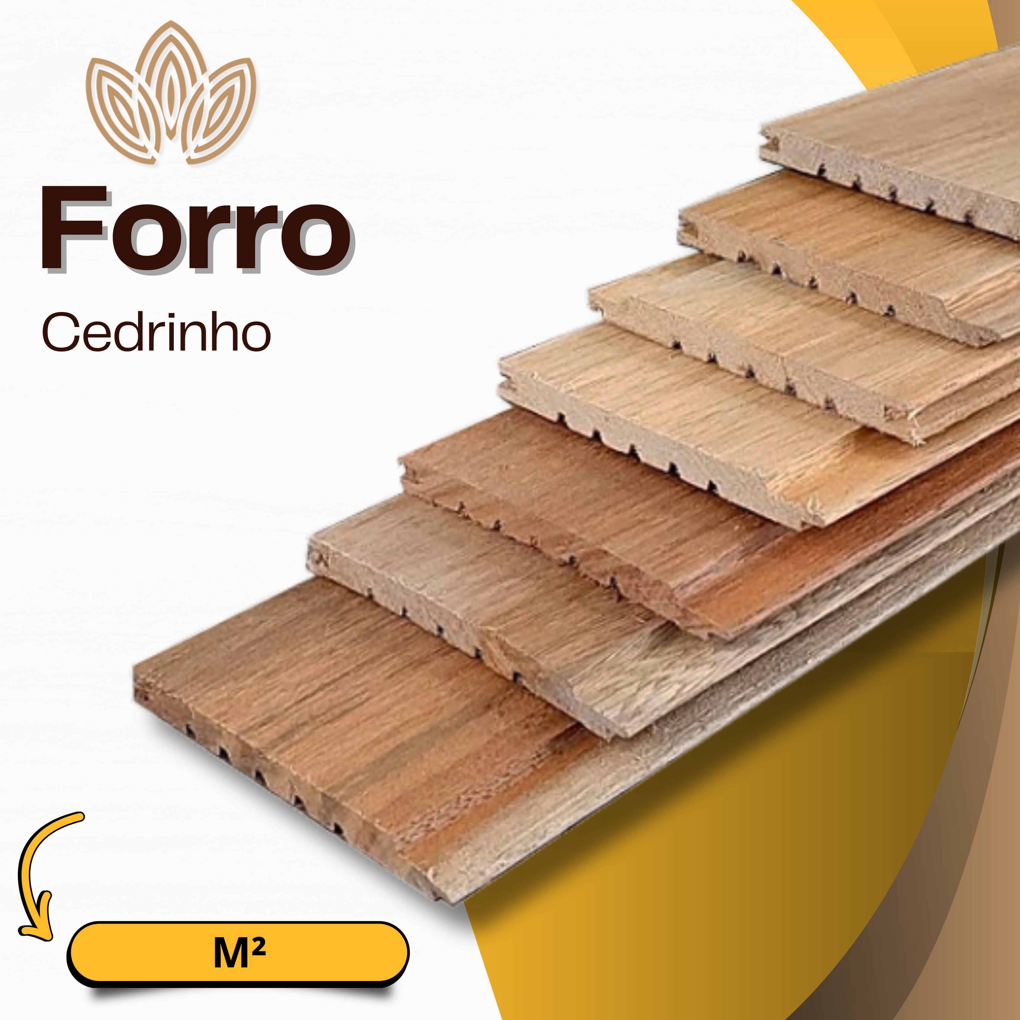 Forro Cedrinho Tratado