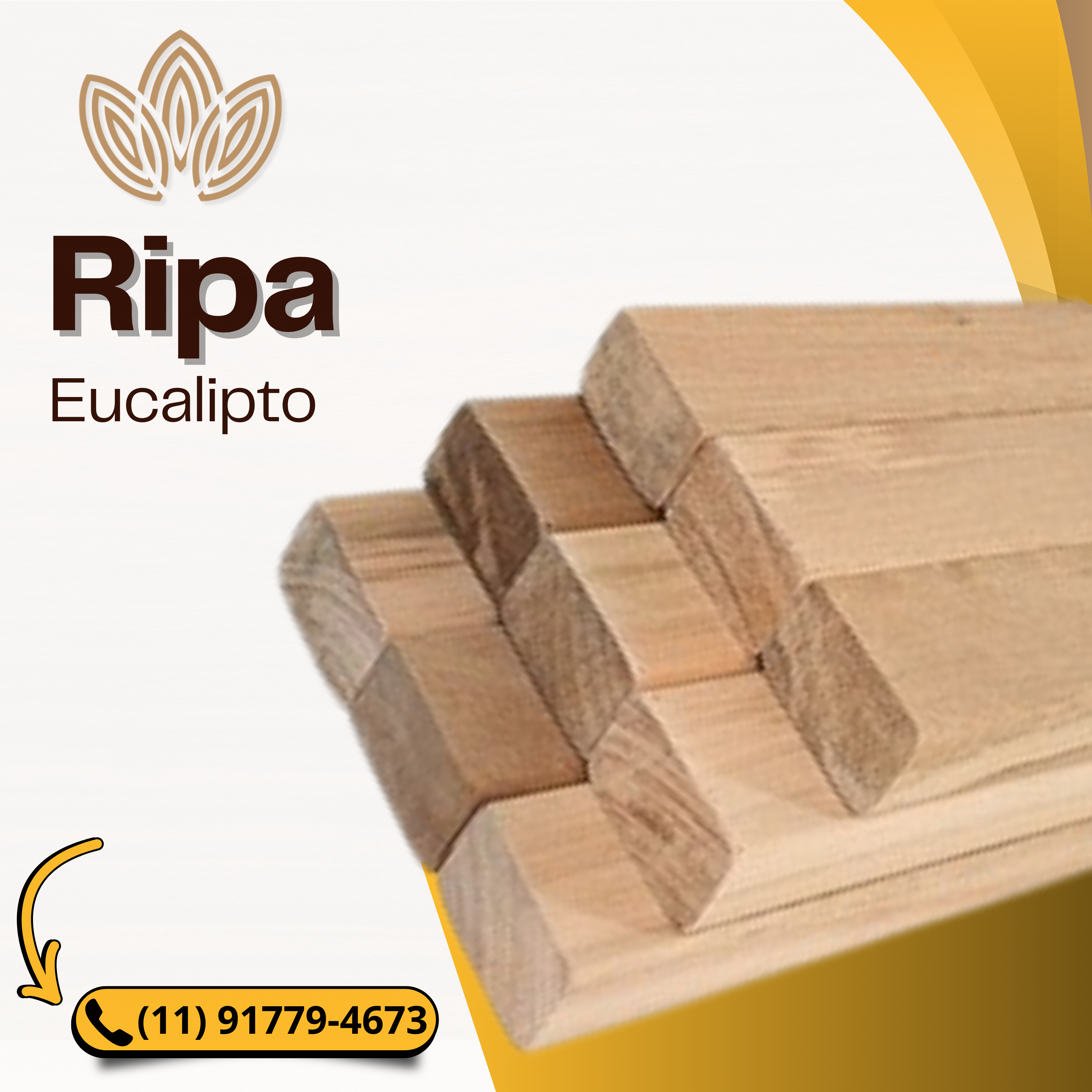 Ripa de Eucalipto