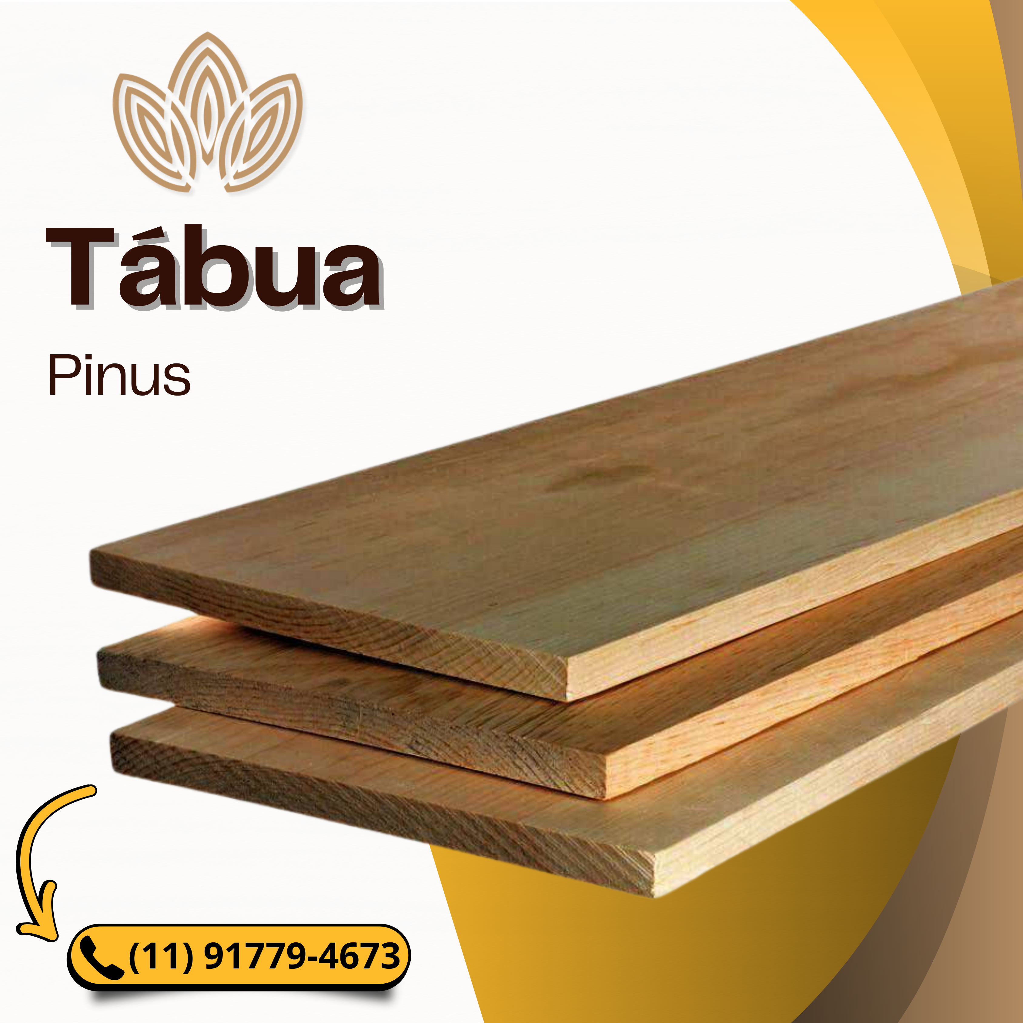 Tábua de Pinus