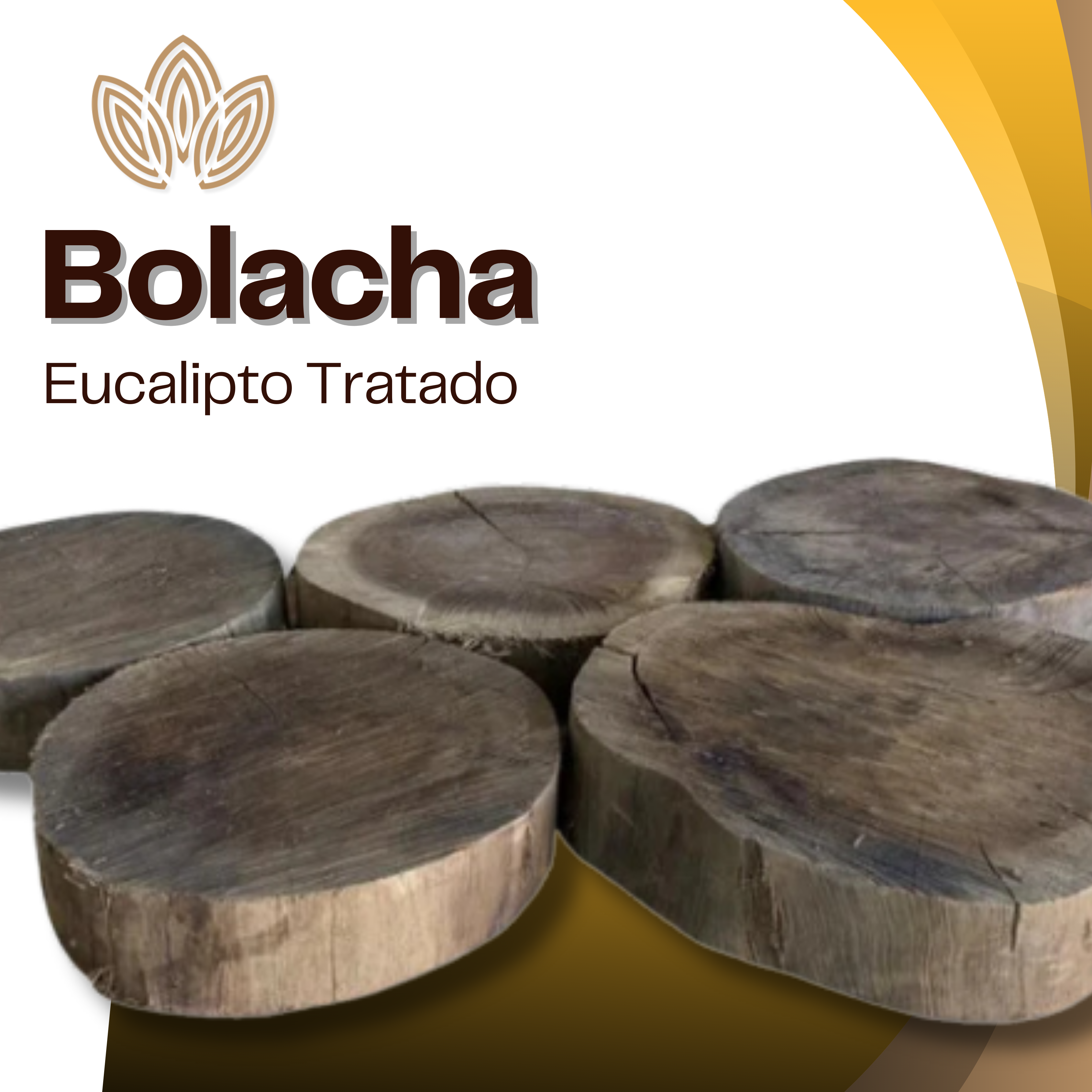 Bolacha de Eucalipto Tratado