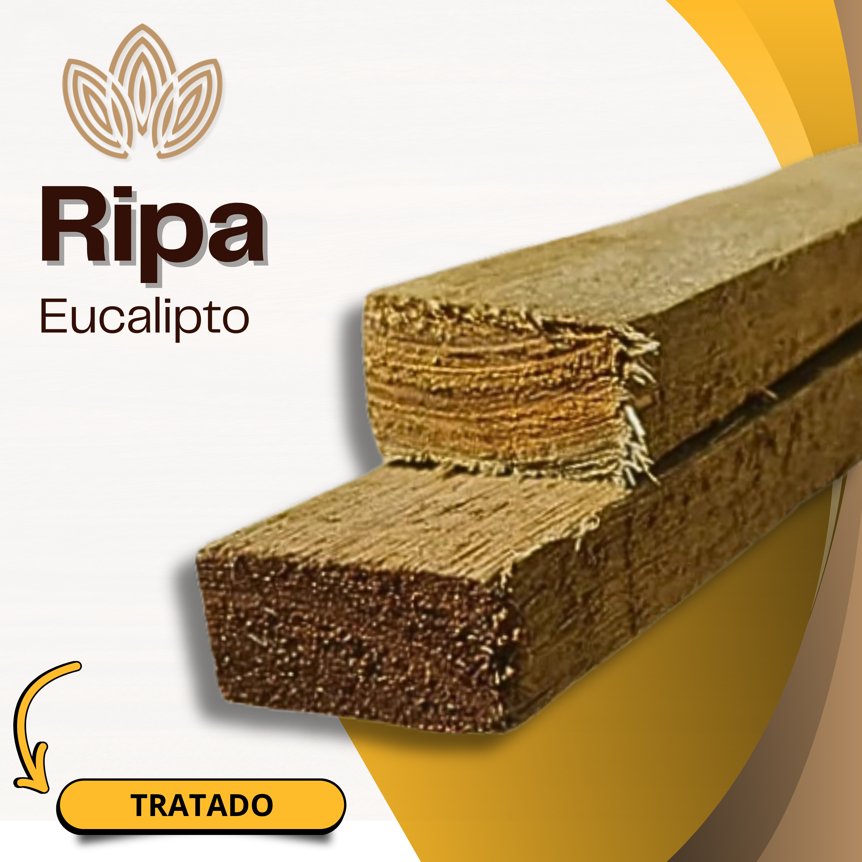 Ripa de Eucalipto Tratado