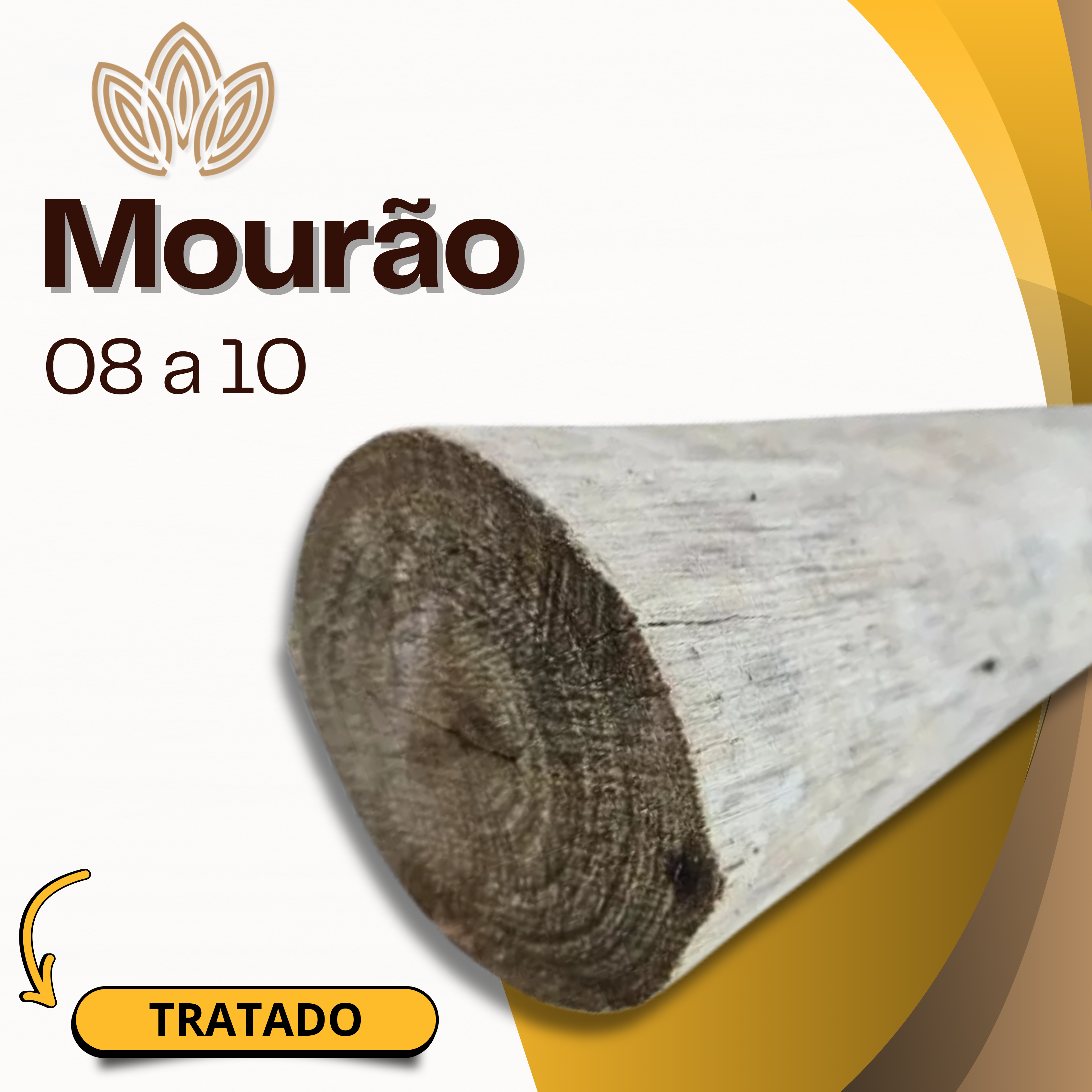 Mourões de Citriodora Tratado 08cm a 10cm